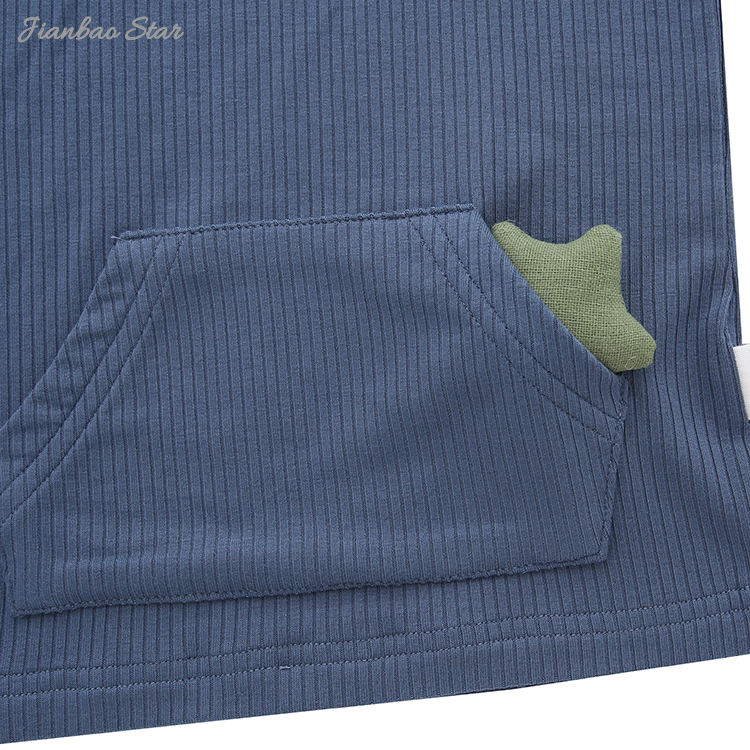 Nouveau Design tenues couleurs unies haute qualité bébé vêtements ensemble côtelé bambou sans manches sweats à capuche unisexe et pantalons courts